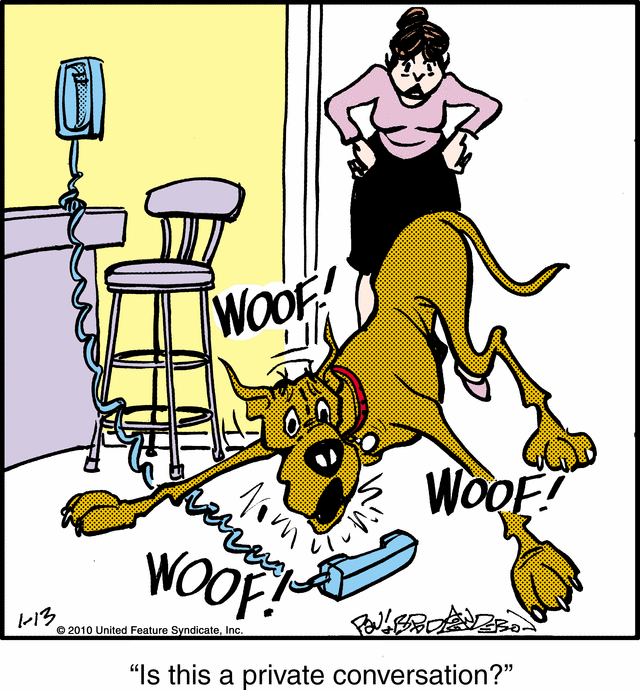 marmaduke